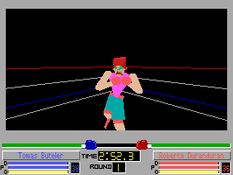 4D Sports Boxing Screenshot