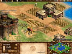 Age of Empires II: The Conquerors Screenshot