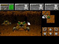 Dungeon Master 2: The Legend of Skullkeep Screenshot
