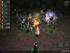 Dungeon Siege Screenshot