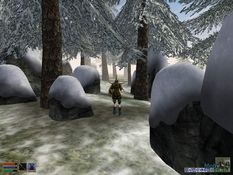 The Elder Scrolls III: Bloodmoon Screenshot