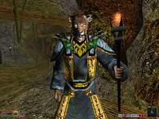 The Elder Scrolls III: Morrowind Screenshot
