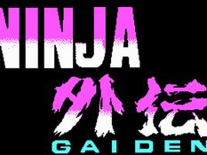 Ninja Gaiden Screenshot
