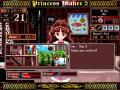 Princess Maker 2 Screenshot