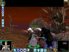SpellForce: Shadow of the Phoenix Screenshot