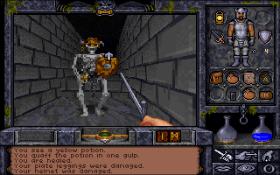 Ultima Underworld II: Labyrinth of Worlds Screenshot