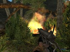 Vietcong Screenshot